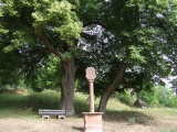 2011- 189.jpg
